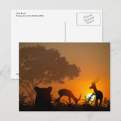 Lion Hunt Postkarte (Vorne/Hinten)
