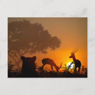 Lion Hunt Postkarte