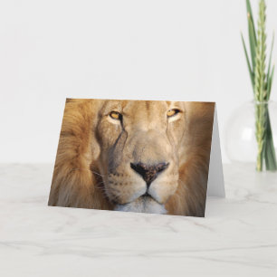 Lion Images Grußkarte Karte
