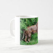 Lion Kaffeetasse (Vorderseite Links)