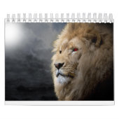 Lion Kalender (Titelbild)