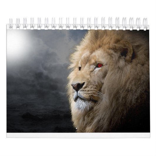 Lion Kalender (Titelbild)