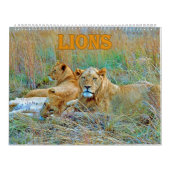 lion kalender (Titelbild)