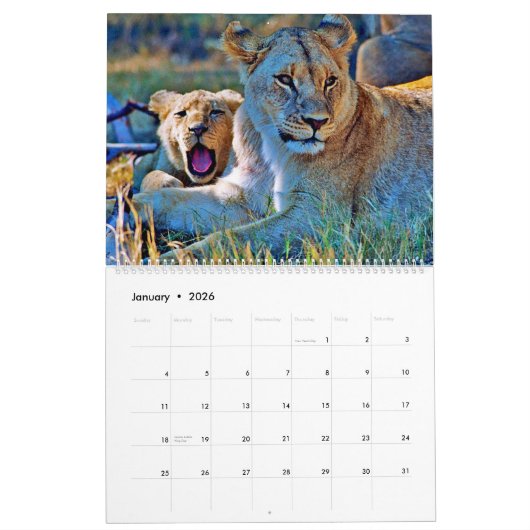 lion kalender (Jan 2026)