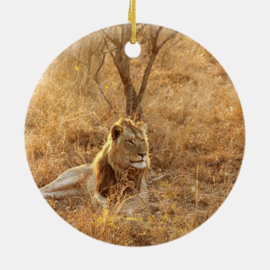 Lion Keramik Ornament (Hinten)