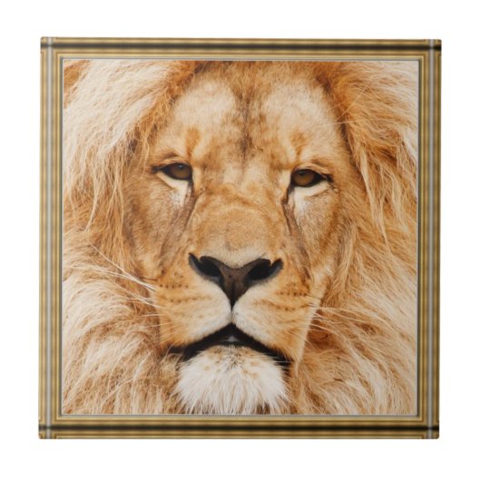 Lion Keramik Tile Fliese (Vorderseite)