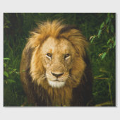 LION KING IM JUNGLE GESCHENKPAPIER (Flach)