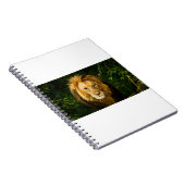LION KING IM JUNGLE NOTIZBLOCK (Rechte Seite)