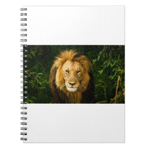 LION KING IM JUNGLE NOTIZBLOCK