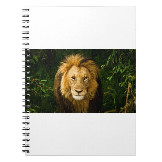LION KING IM JUNGLE NOTIZBLOCK (Vorderseite)