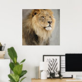 Lion King of the Dschungel Poster (Heimbüro)