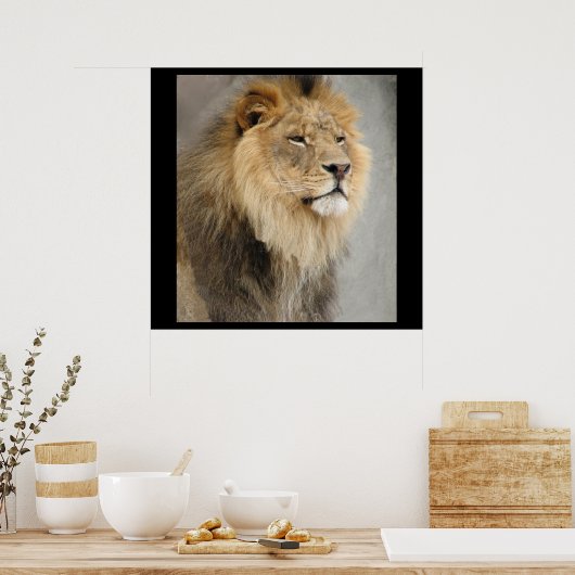 Lion King of the Dschungel Poster (Küche)