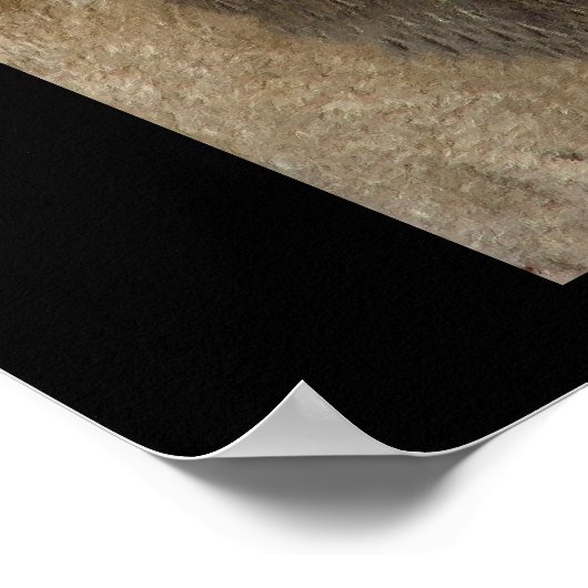 Lion King of the Dschungel Poster (Ecke)