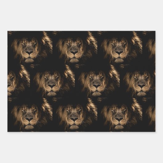 Lion King of the Jungle Wrapping Paper Pack Geschenkpapier Set (Vorderseite 3)