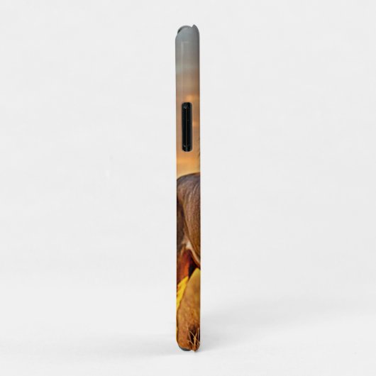 Lion King Savanna Sunset Design Case-Mate iPhone Hülle (Hinten/Rechts)