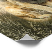 Lion Kiss Art Poster/Print Poster (Ecke)