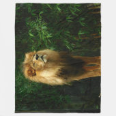 LION, KÖNIG DER UNGLE FLEECEDECKE (Vorderseite)