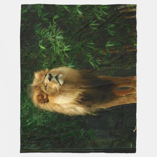 LION, KÖNIG DER UNGLE FLEECEDECKE (Vorderseite)