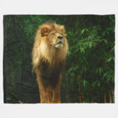 LION, KÖNIG DER UNGLE FLEECEDECKE (Vorderseite (Horizontal))