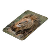 LION Kühlschrank Magnet IHRE Fotovorlage (Linke Seite)