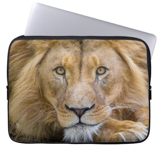 LION LAPTOP SLEEVES (Vorderseite)