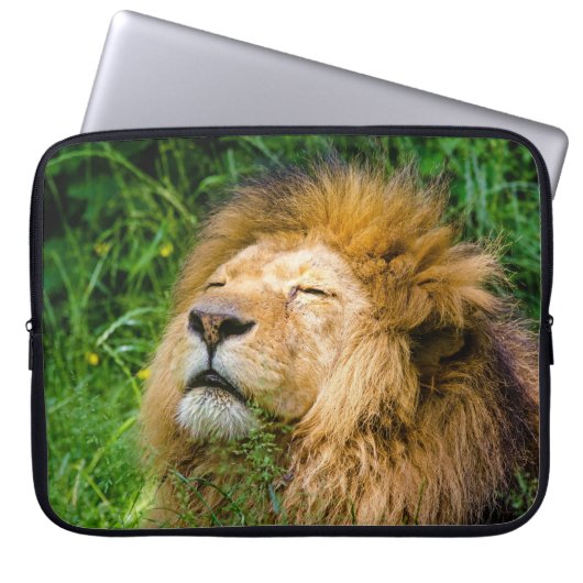 Lion Laptopschutzhülle (Vorderseite)