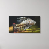 Lion Leinwanddruck (Vorderseite)