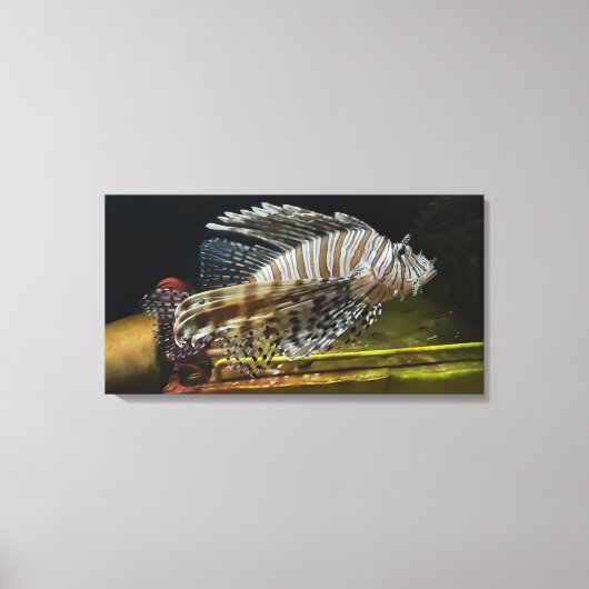 Lion Leinwanddruck (Vorderseite)