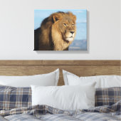 Lion Leinwanddruck (Insitu (Schlafzimmer))