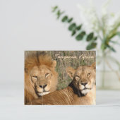 Lion Liebe Postkarte (Stehend Vorderseite)