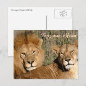 Lion Liebe Postkarte (Vorne/Hinten)
