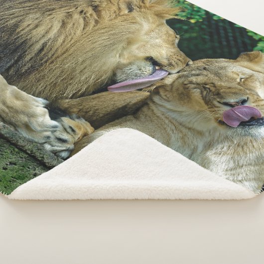 LION-LIEBE SHERPADECKE (3/4)