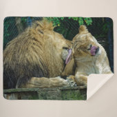 LION-LIEBE SHERPADECKE (Vorderseite (Horizontal))