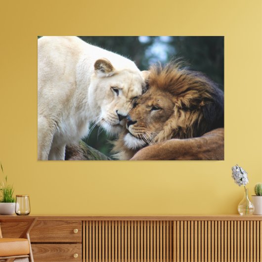 Lion & Lioness Canvas Print Leinwanddruck (Insitu (Wohnzimmer))