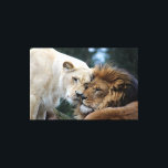 Lion & Lioness Canvas Print Leinwanddruck<br><div class="desc">Für alle Lions Liebhaber.</div>