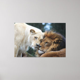 Lion & Lioness Canvas Print Leinwanddruck