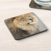 Lion Lovers Art Getränkeuntersetzer (Linke Seite)