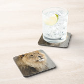 Lion Lovers Art Getränkeuntersetzer (Rechte Seite)