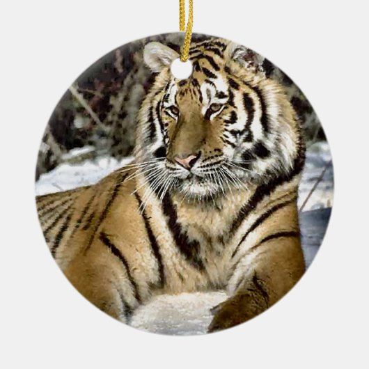 Lion Lovers Art Keramikornament (Vorne)