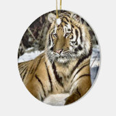 Lion Lovers Art Keramikornament (Links)