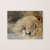Lion Lovers Art Puzzle (Horizontal)