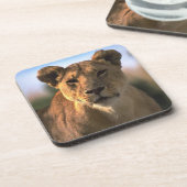 Lion Lovers Female Lioness Untersetzer (Linke Seite)