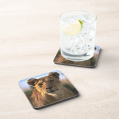 Lion Lovers Female Lioness Untersetzer (Rechte Seite)