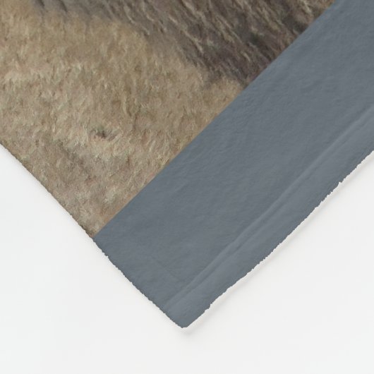 Lion Lovers Geschenke Fleecedecke (Ecke)