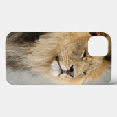Lion Lovers King of the Dschungel Case-Mate iPhone Hülle (Rückseite (Horizontal))