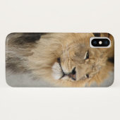 Lion Lovers King of the Dschungel Case-Mate iPhone Hülle (Rückseite (Horizontal))