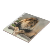 Lion Lovers King of the Dschungel Fliese (Seite)