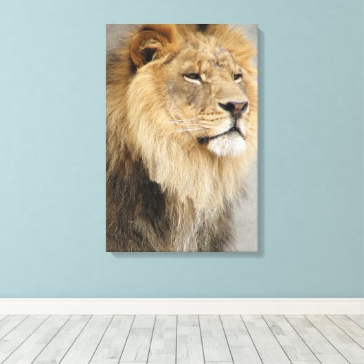 Lion Lovers King of the Dschungel Leinwanddruck (Insitu (Holzboden))