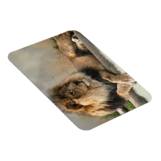 Lion Lovers King of the Dschungel Magnet (Rechte Seite)