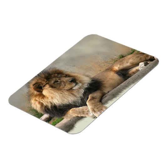 Lion Lovers King of the Dschungel Magnet (Linke Seite)